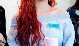 姐姐出场爆料视频大全集,揭秘娱乐圈幕后真相